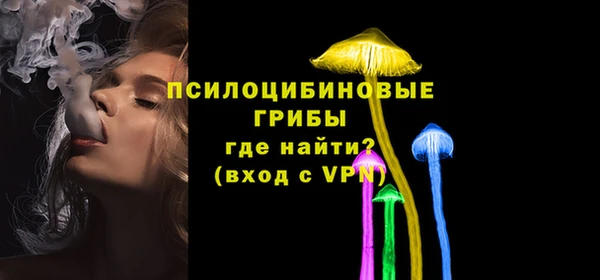 PSILOCYBIN Абдулино