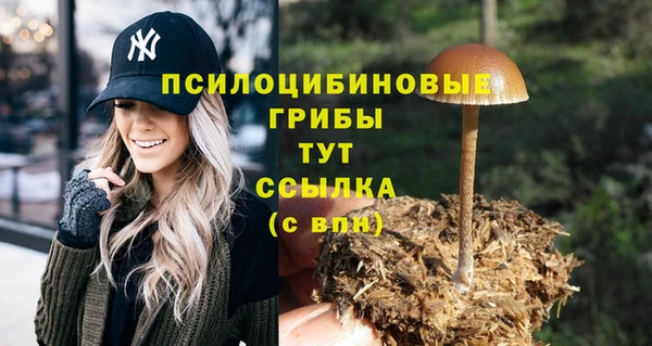 PSILOCYBIN Абдулино